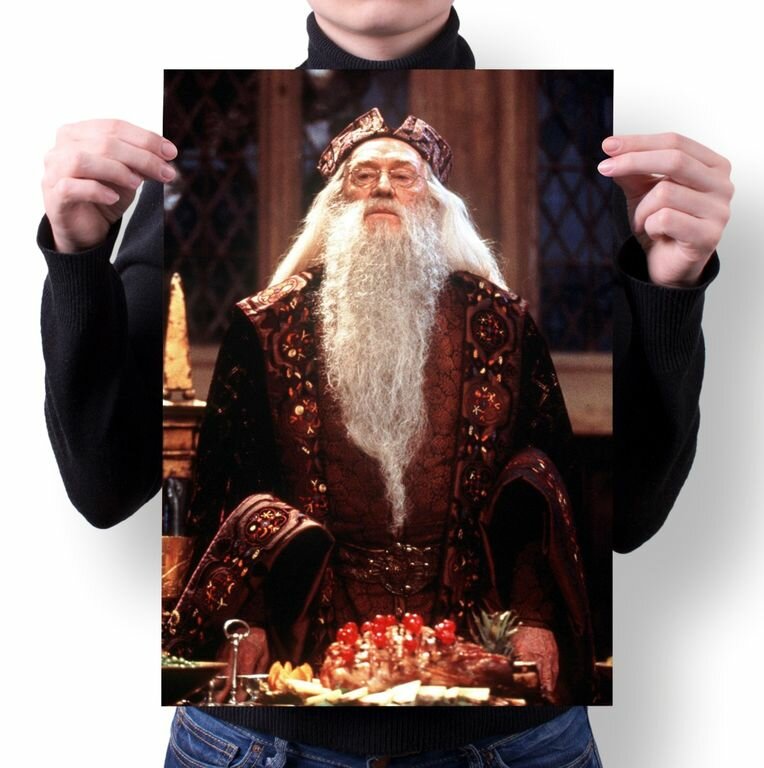 Плакат Harry Potter Гарри Поттер №9 А4