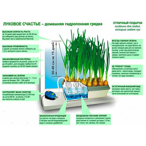 Выращиватель дома пера зелёного лука и чеснока луковая чудо Грядка гидропонная original