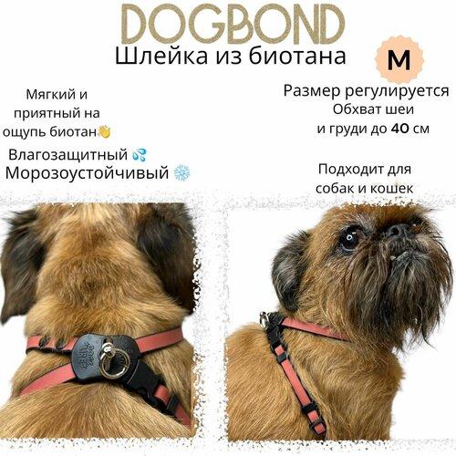 Шлейка Dogbond 