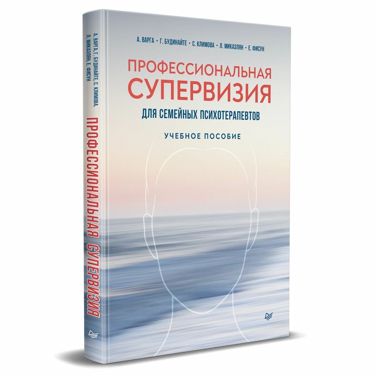 Профессиональная супервизия для семейных психотерапевтов. Учебное пособие - фото №7