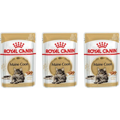 ROYAL CANIN MAINE COON ADULT влажный корм кусочки в соусе для кошек породы Мейн-кун старше 15 месяцев ,85 г, 3шт