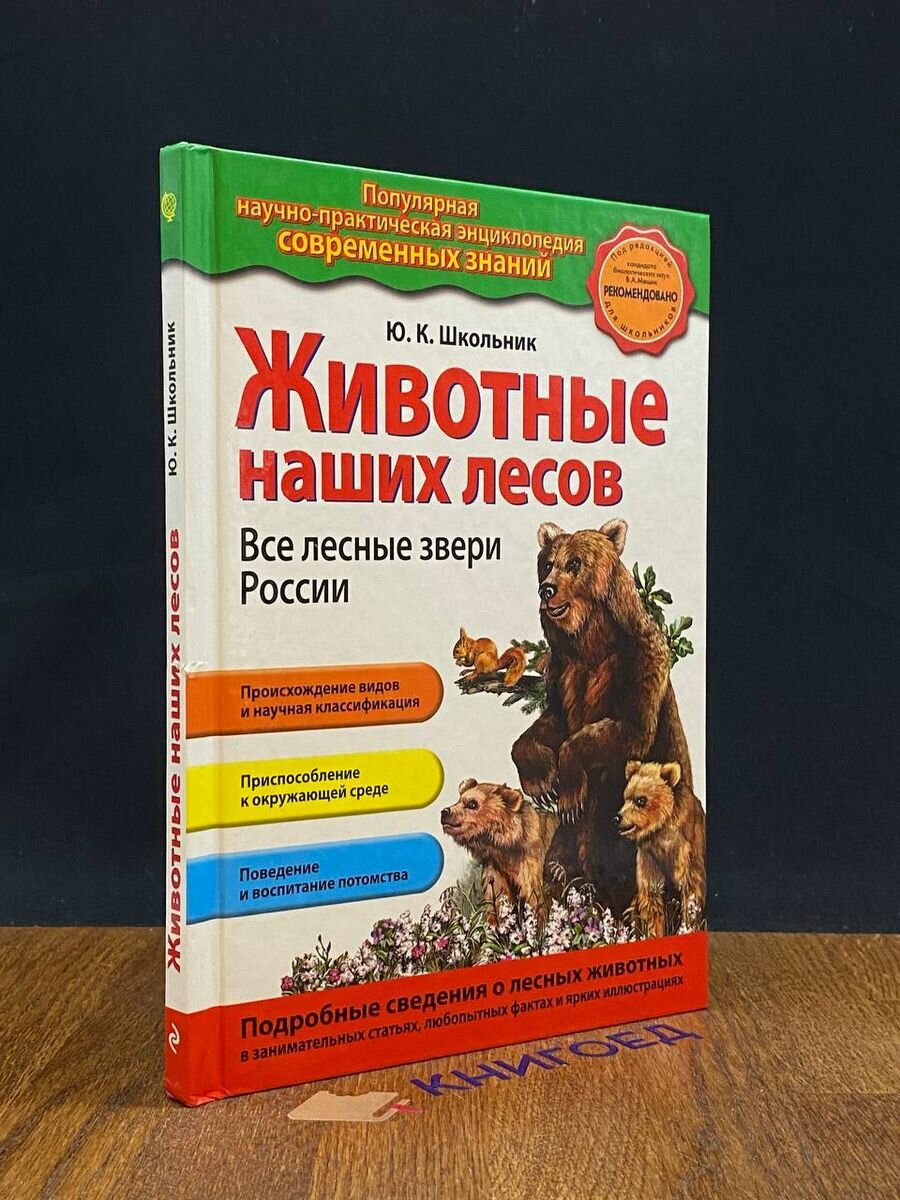 Животные наших лесов. Все лесные звери России 2013 (2039548149917)