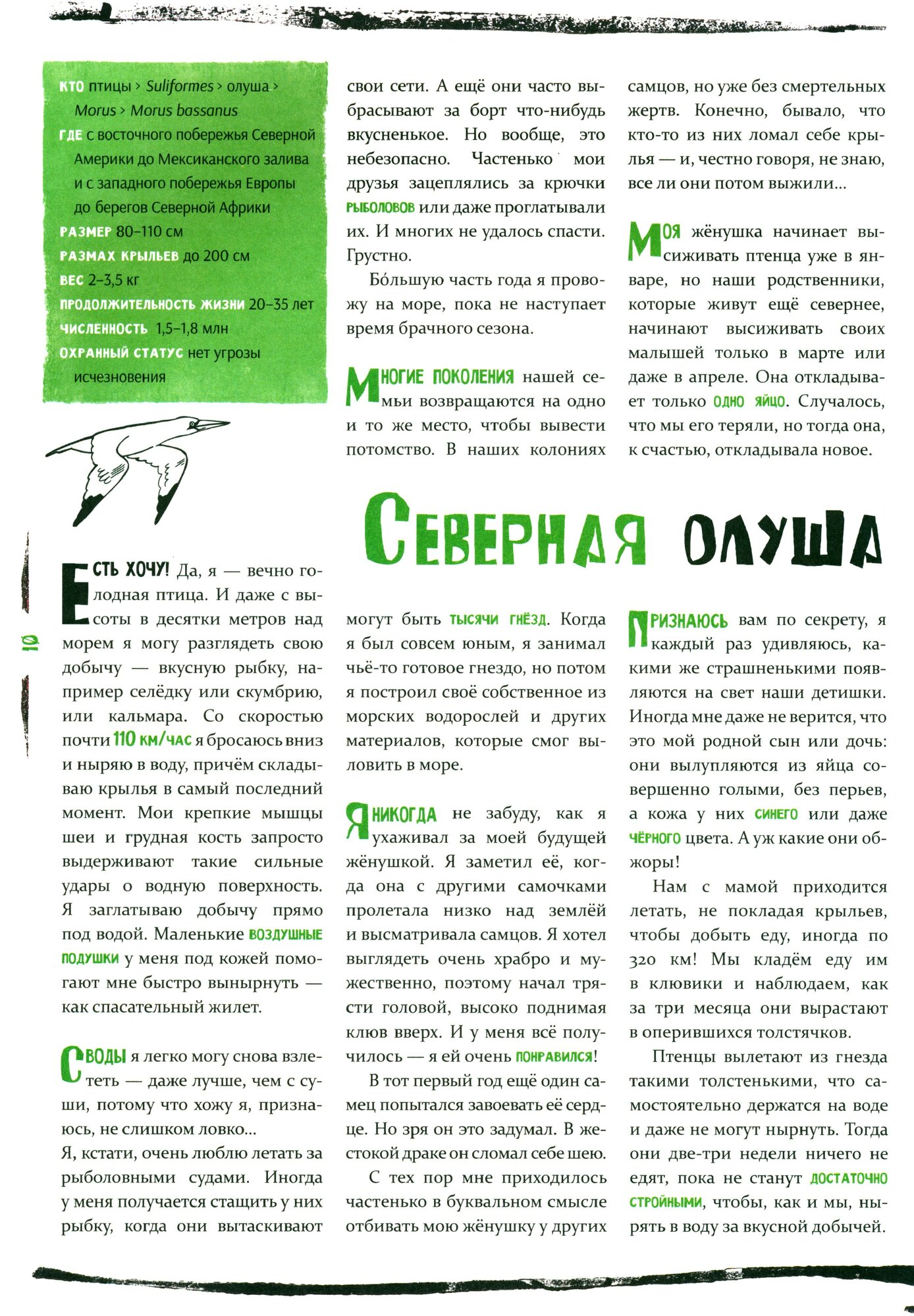 Север (Марике тен Берге, Йессе Гооссенс) - фото №2