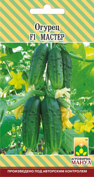 Огурец Мастер F1 корнишон 10шт Парт Ранн (Манул)