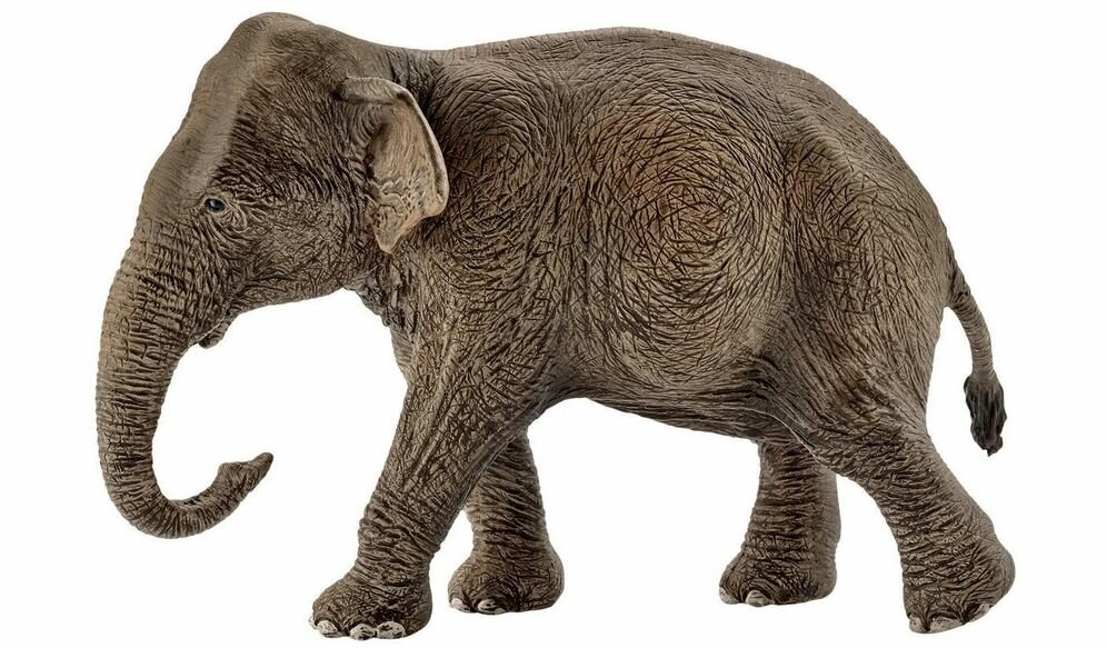 Фигурка Азиатский слон самка 14753 8.5 см Schleich