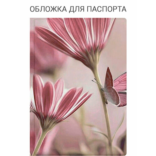 Обложка для паспорта SLVGO, серый, бежевый, красный, белый