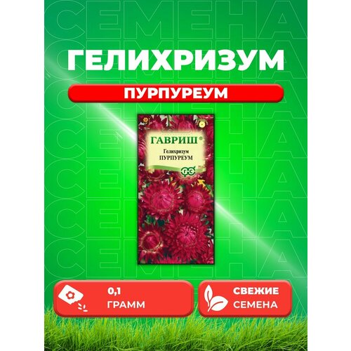 Гелихризум Пурпуреум 0,1г Гавриш, Цветочная коллекция гелихризум пурпуреум семена