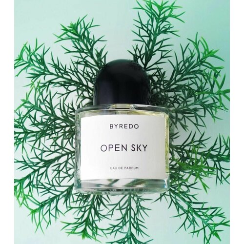 Open Sky/разливная парфюмерия