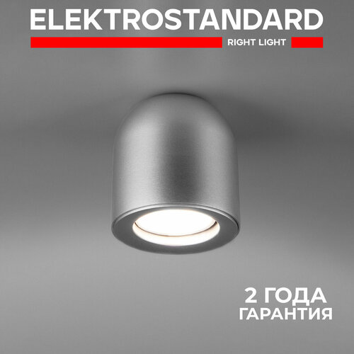 Спот Elektrostandard DLN116 серебристый