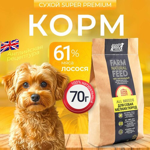 Сухой корм для собак мелких пород Buddy Dinner Gold Line Hypoallergenic с лососем 70 гр