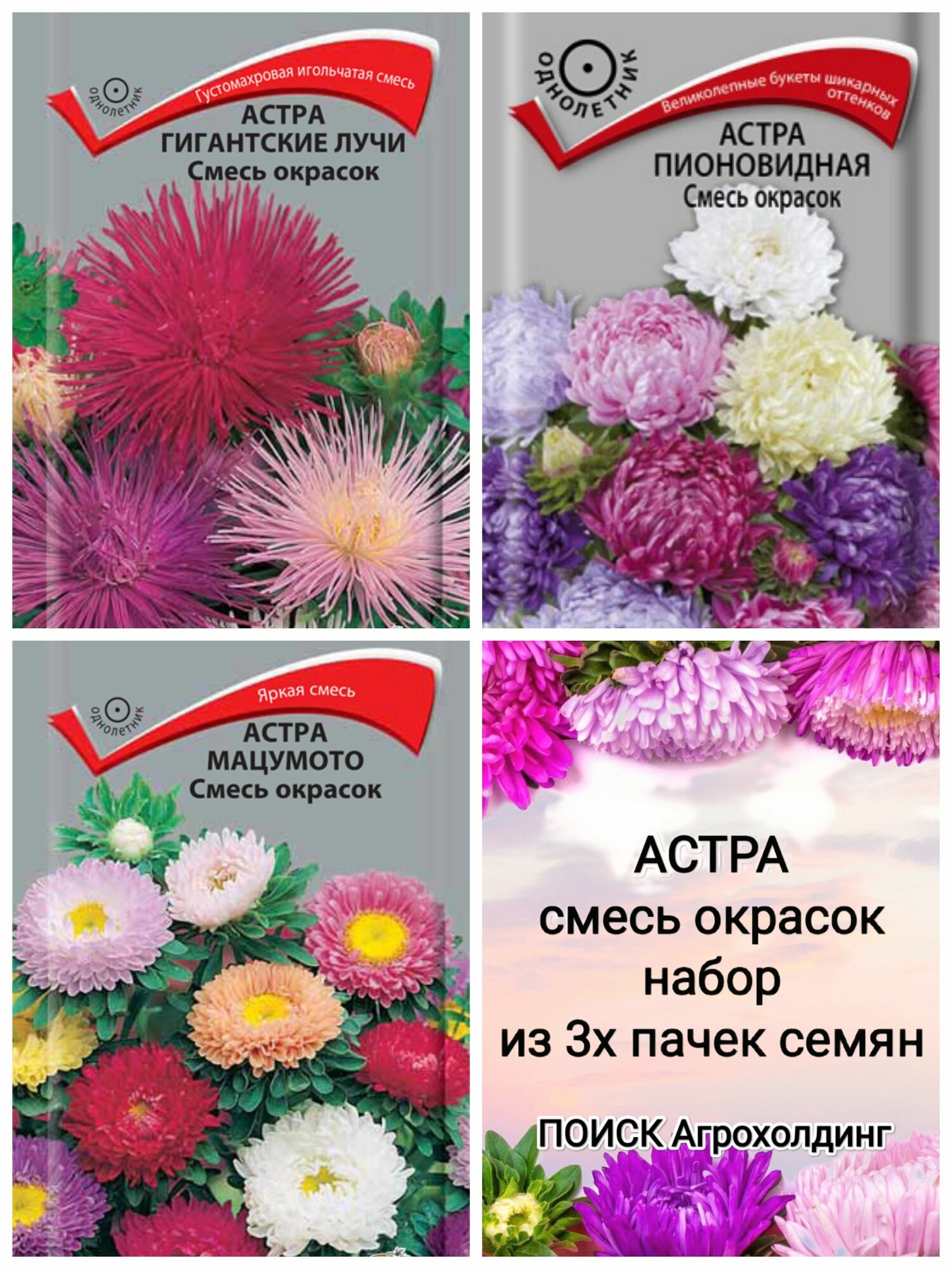Астра смесь сортов семена 3 пакета однолетники поиск Агрохолдинг