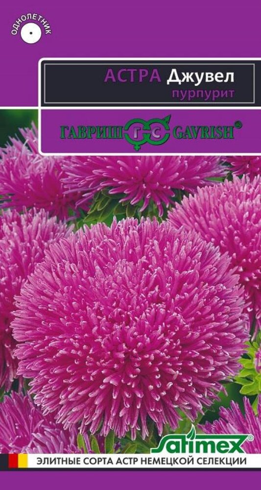 Семена Астра Джувел Пурпурит игольчато-коготковая 005г Одн 75см (Гавриш) Эксклюзив