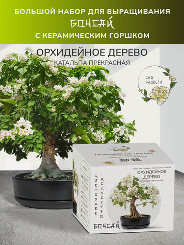 Изображение товара Бонсай Набор для выращивания растений Гранат от бренда Сад радости