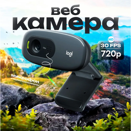 Веб-камера Logitech C270 HD Webcam, 1280х720 р, USB 2.0, функция слежения черный
