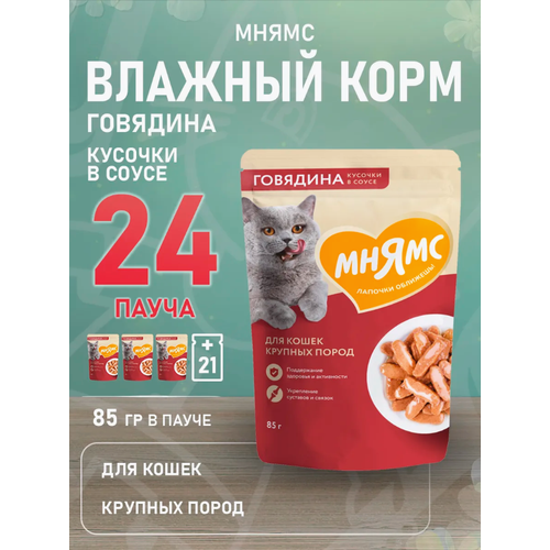 Влажный корм Мнямс Кусочки в соусе с говядиной для крупных кошек 85г х 24шт