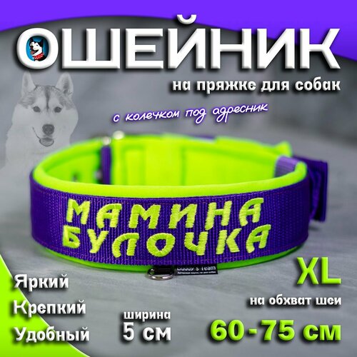Ошейник для собак Buddy team на пряжке, с вышивкой мамина булочка, ширина 5 см, с мягким подкладом для средних и крупных пород, размер XL