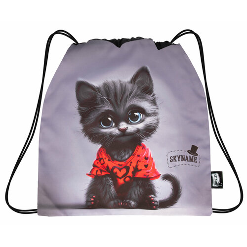 Мешок для сменной обуви SkyName для девочек увеличенного размера 45 х 40 см с лямками из шнурков 866₽