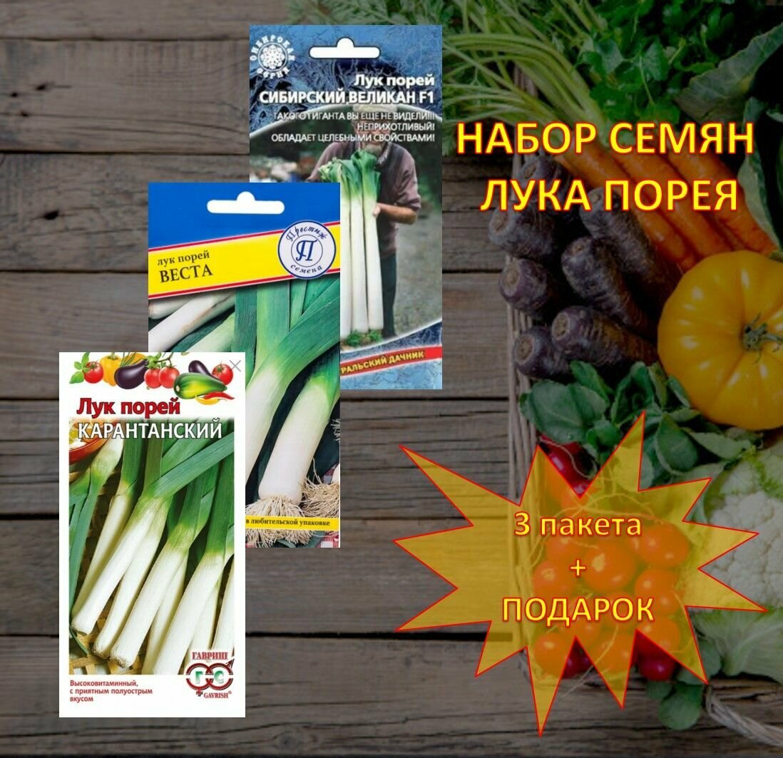 Семена лука порея Сибирский гигант Веста Карантанский