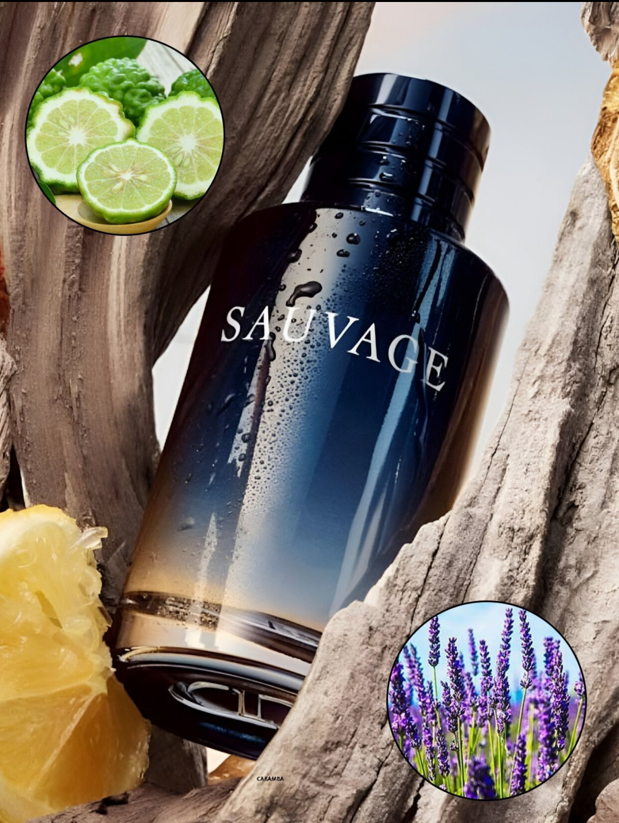 SAUVAGE, EAU DE PARFUM, Роскошные и элегантные духи для мужчин, 100 мл