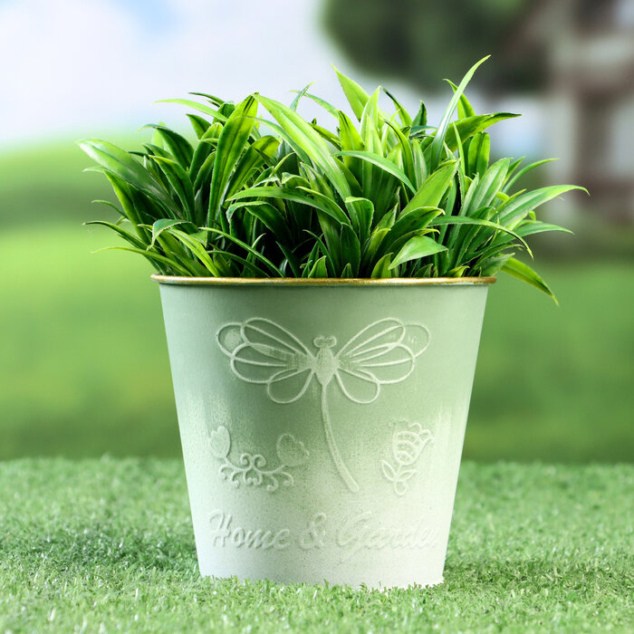 фото Кашпо "Ведерко Генри" зеленый, 10х10х10см 9943592