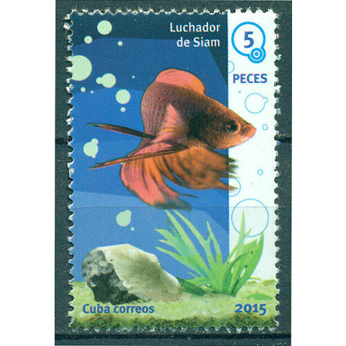 Почтовые марки Куба 2015г. Аквариумные рыбы - Бойцовая рыбка Рыбы MNH почтовые марки куба 1985г рыбы рыбы mnh