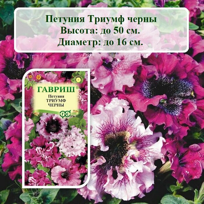 Семена цветов Петуния Триумф черны (7 шт. семян)