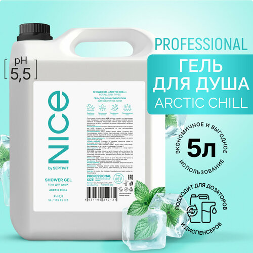 Гель для душа NICE by SEPTIVIT Arctic Chill 5 л гель для душа nice by septivit arctic chill 1 л