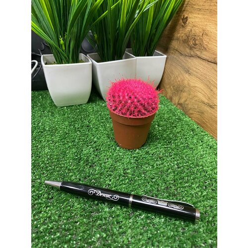 Ручка именная денис 399₽