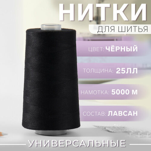 Нитки 25ЛЛ, 5000 м, цвет чёрный №6818 нитки 25лл 5000 м цвет чёрный 6818