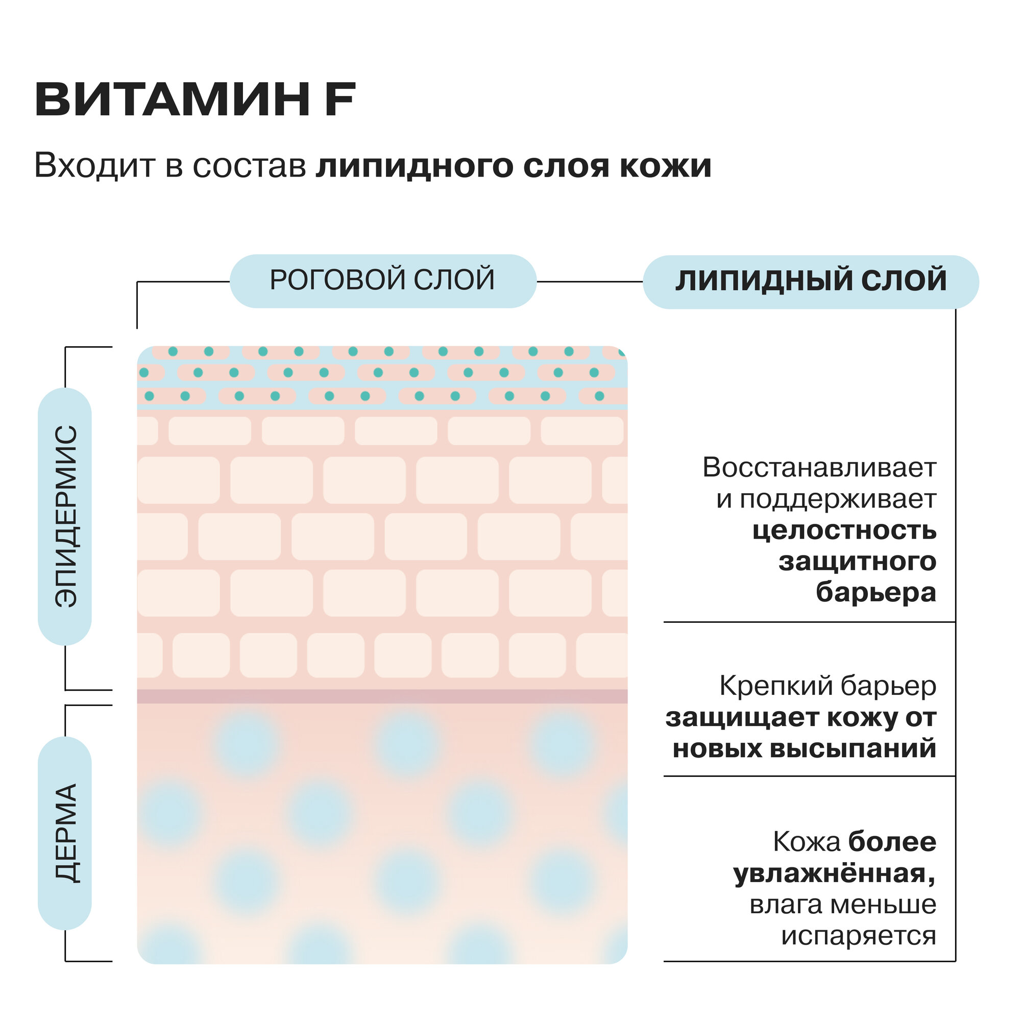 Мист для лица с витаминами и пробиотиками Openface Vitamin Brew — фото 1