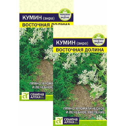 кумин магета зира 20 г Кумин (Зира) Восточная Долина (1 г), 2 пакета