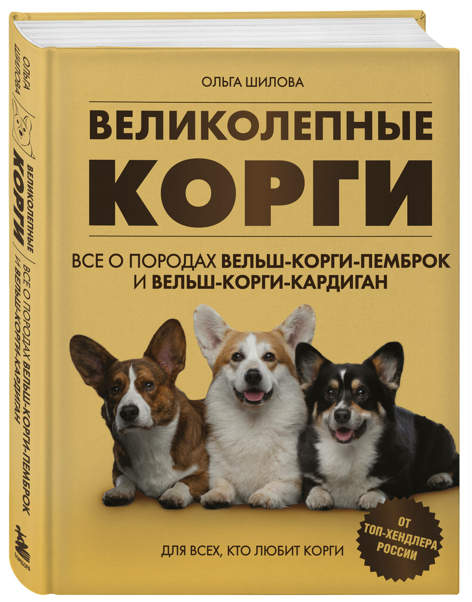 Великолепные корги: Все о породах вельш-корги-пемброк и вельш-корги-кардиган