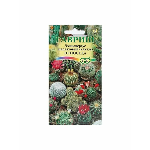 Семена комнатных цветов Гавриш Эхиноцереус (кактус) кларкия бриллиант 2 пакета семена 0 05 гр гавриш