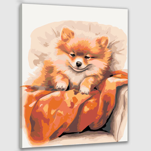 Картина по номерам 50х40 Шпиц любимая собака