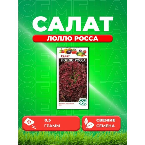 Салат Лолло Росса 0,5 г листовой, бордовый Н21