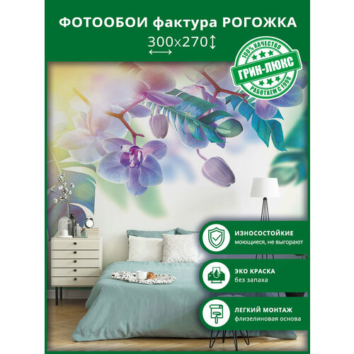 Фотообои на стену 