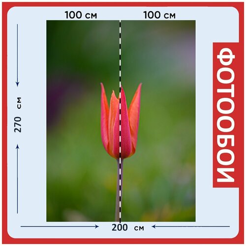 Фотообои Цветок лепестки розовый цветок 200x270 см флизелиновыена стену 2950₽