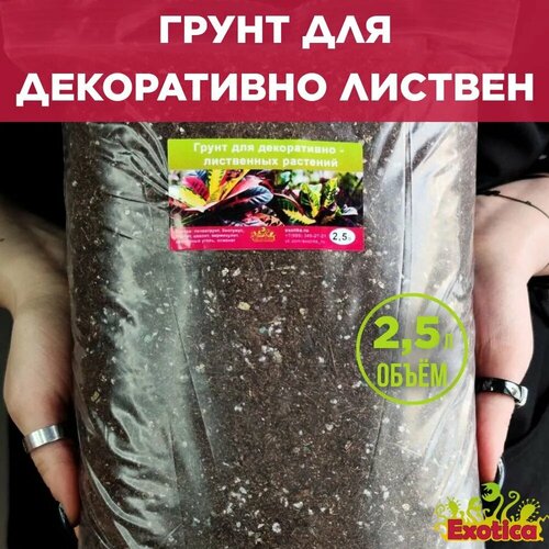 Грунт (земля) для декоративно-лиственных 2,5л ( диффенбахии, маранты, калатеи, хлорофитумы, кротоны кодиеумы, фиттонии, сансевиерии, драцены, юкки, монстеры, шеффлеры)