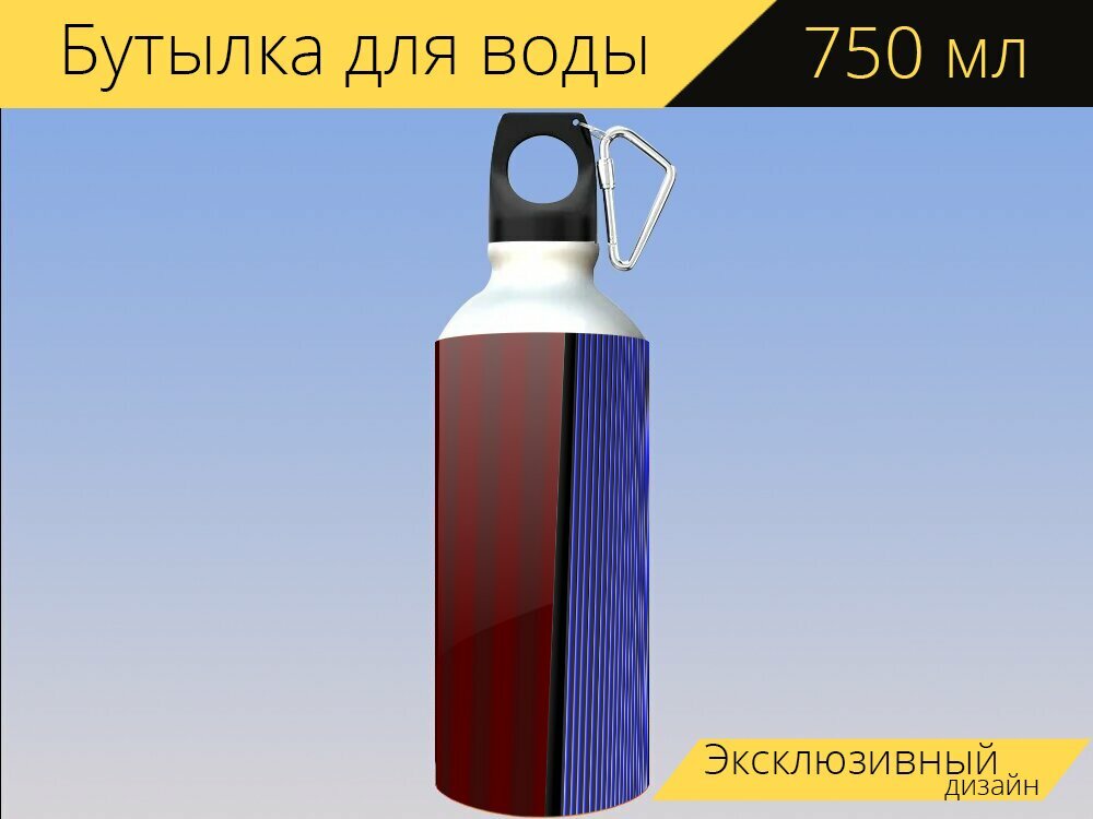 Бутылка фляга для воды "Аккордеон, концертина, губная гармоника" 750 мл. с карабином и принтом