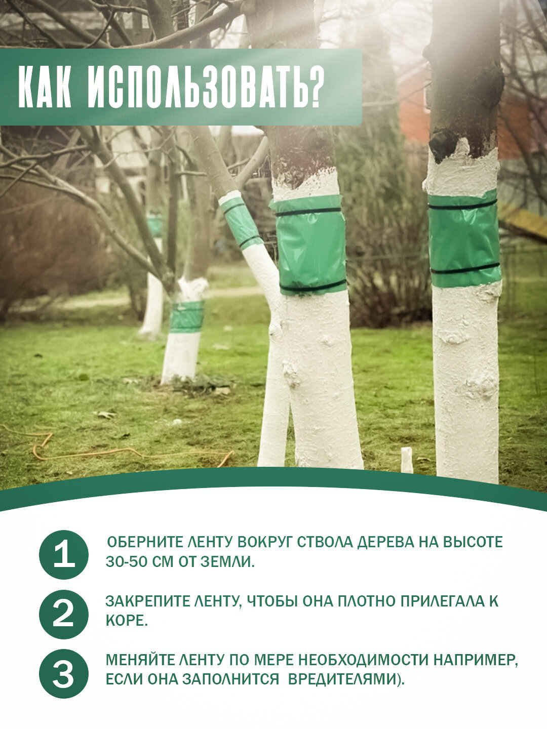 Клеевая липкая лента для защиты деревьев от насекомых вредителей, ловчий пояс-5 м, 100 мм, 2шт — фото 1
