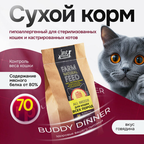 Корм для кошек BUDDY DINNER, с говядиной, Gold Line, супер-премиум, 70 г