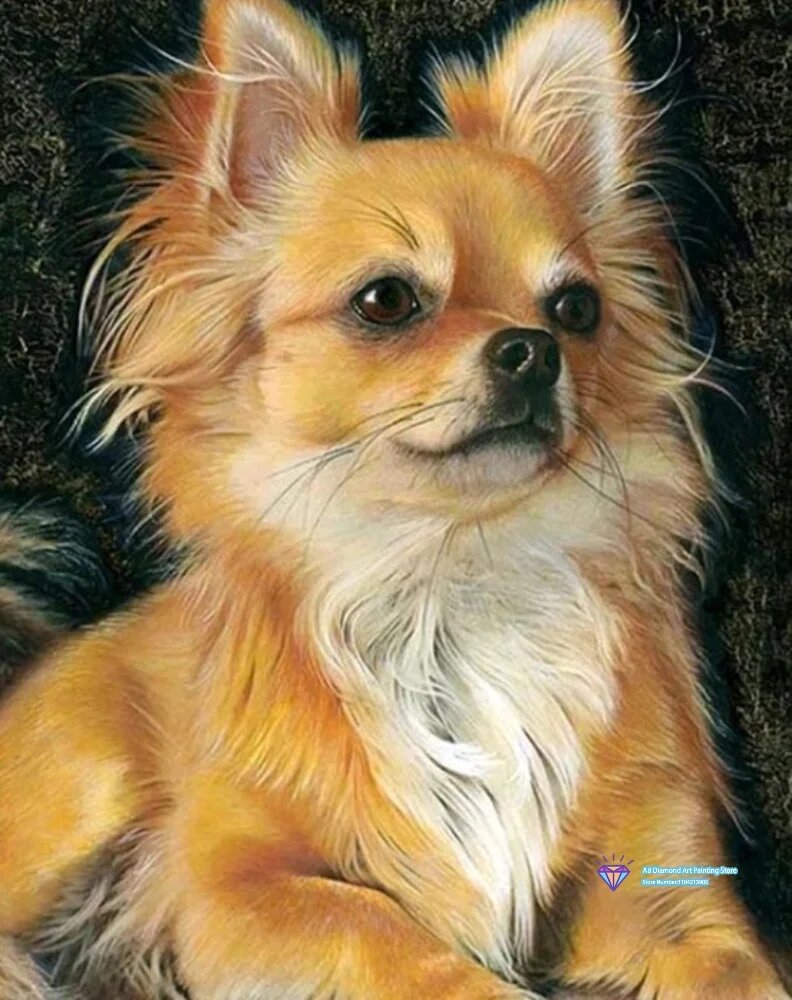Алмазная картина "Собаки породы чихуахуа" 30x40 Square, HS1419-8