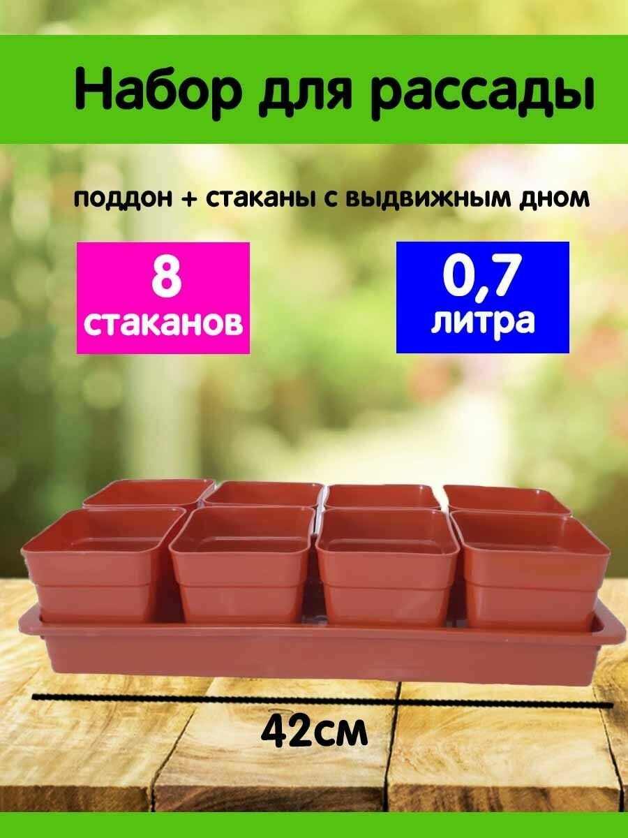 Набор для рассады "Дачник-2" 8 стаканов 07л + поддон терракотовый Сузун