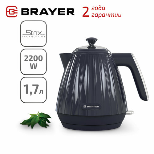 Чайник электрический BRAYER BR1074 256000₽