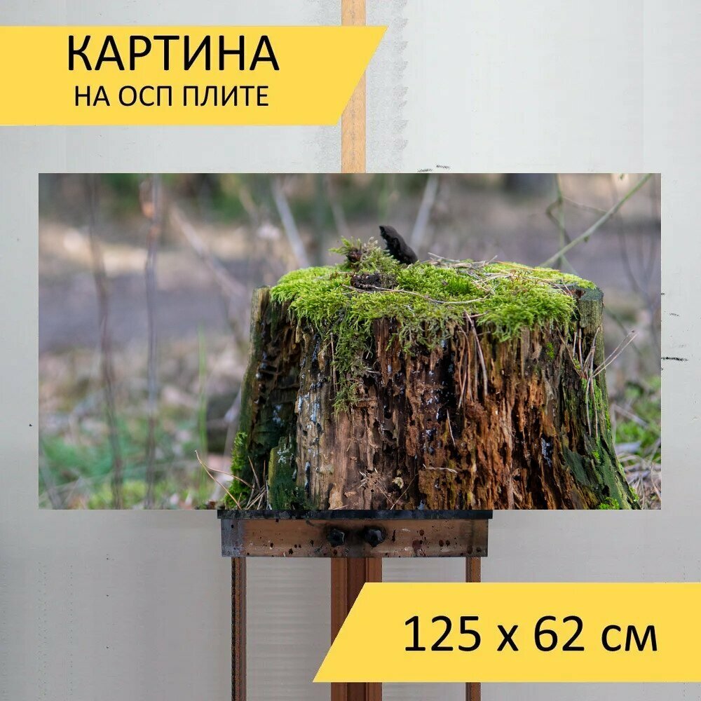 Картина на ОСП 125х62 см. "Лес, ствол, дерево" горизонтальная, для интерьера, с креплениями