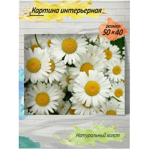 Картина готовая на холсте, 40x50, ромашки, c подрамником