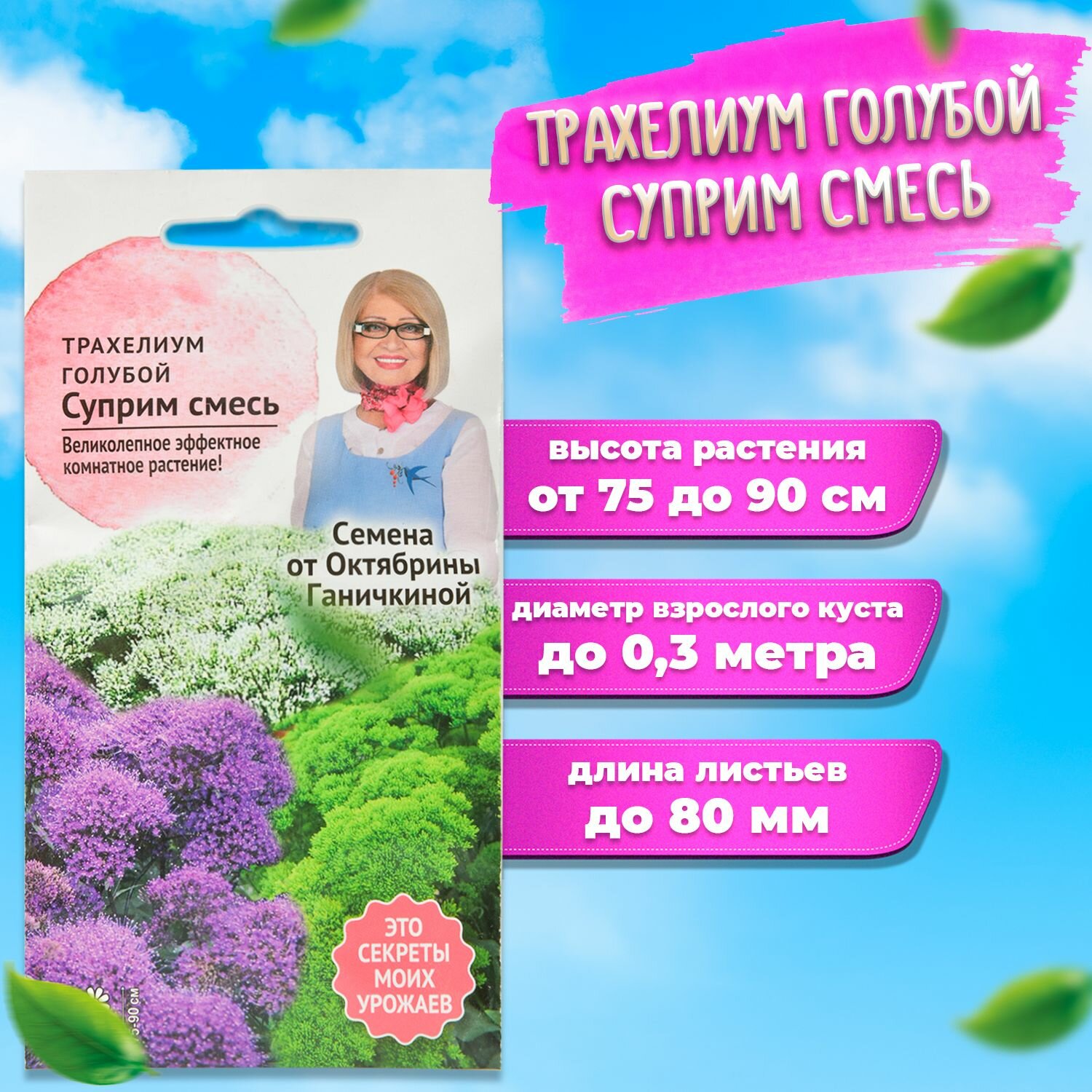 Трахелиум семена голубой Суприм Смесь