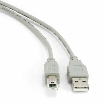 Кабель (GEMBIRD/Cablexpert (01196) CC-USB2-AMBM-6 AM/BM 1.8м (5))