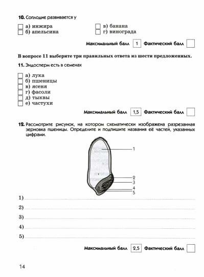 Биология. 6 класс. Диагностические работы к учебнику В. В. Пасечника. Вертикаль. - фото №3