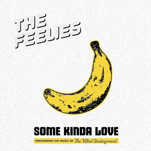 THE FEELIES - SOME KINDA LOVE PERFORMING THE MUSIC OF THE VELVET UNDERGROUND (2LP) виниловая пластинка виниловая пластинка konquest the night goes on